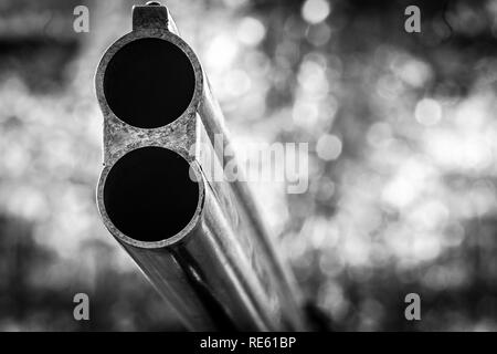 Vertikale Barrel einen Jagd glattem Gewehr. Stockfoto