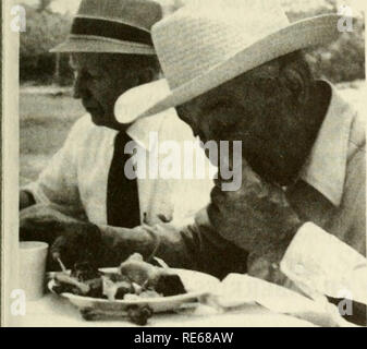 . Preiselbeeren;: die nationalen cranberry Magazin. Cranberry Motten, die Licht angezogen, würde weniger Zeit auf der umliegenden Moore verbringen. In der Tat, das hat genau wie erwartet: Der Bereich der Moor in der Nähe der Leuchten hat die Wenigsten fruitworm Befall. Da die Dis- nisse aus der Beleuchtung erhöht die Häufigkeit von fruitworm Befall entsprechend erhöht. Operative Aufwendungen sind ein zunehmend störende Faktor für die meisten wachsen - ers, und diese ihre kollektive Reaktion auf die Spotlight Gerät gefärbt. "Wer die Stromrechnung leisten konnten?", fragte O Stockfoto