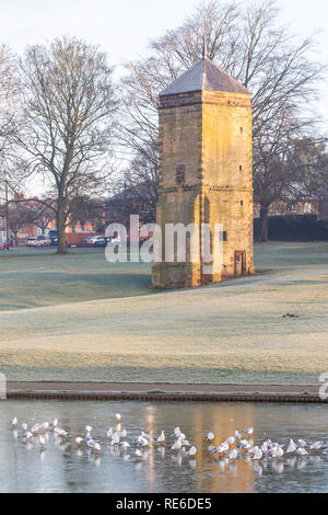 Northampton, Wetter, 20. Januar 2019. Am frühen Morgen in Abington Park ein harter Frost auf den Boden mit Sonnenschein und klare Himmel klar. Credit: Keith J Smith./Alamy leben Nachrichten Stockfoto