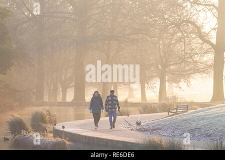 Northampton, Wetter, 20. Januar 2019. Am frühen Morgen in Abington Park ein harter Frost auf den Boden mit Sonnenschein und klare Himmel klar. Credit: Keith J Smith./Alamy leben Nachrichten Stockfoto