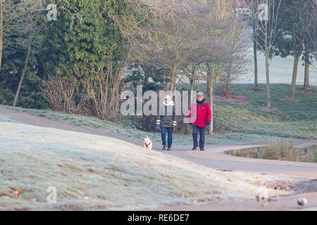 Northampton, Wetter, 20. Januar 2019. Am frühen Morgen in Abington Park ein harter Frost auf den Boden mit Sonnenschein und klare Himmel klar. Credit: Keith J Smith./Alamy leben Nachrichten Stockfoto