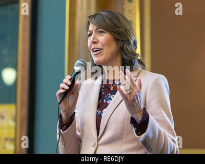 Des Moines, Iowa, USA. 19. Januar, 2019. Kongressabgeordnete Cindy Axene spricht an der 3. jährlichen Frauen € ™ s März innerhalb des State Capitol in Des Moines am Samstag statt. Mehrere hundert Personen an der Veranstaltung teil. Credit: Keith Turrill/Alamy leben Nachrichten Stockfoto