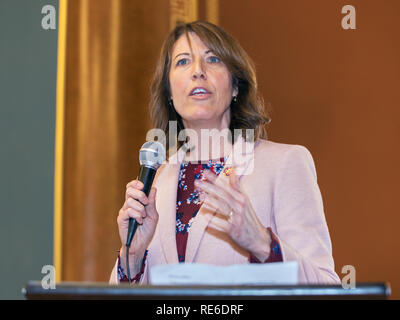 Des Moines, Iowa, USA. 19. Januar, 2019. Kongressabgeordnete Cindy Axene spricht am März der 3. jährlichen Frauen innerhalb des State Capitol in Des Moines am Samstag statt. Mehrere hundert Personen an der Veranstaltung teil. Credit: Keith Turrill/Alamy Live News Credit: Keith Turrill/Alamy leben Nachrichten Stockfoto