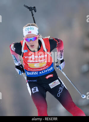 Ruhpolding, Deutschland. Jan, 2019 19. Biathlon: Wm, 4x6 km Frauen Relais in der Chiemgau Arena. Tiril Eckhoff aus Norwegen auf der Strecke. Credit: Sven Hoppe/dpa/Alamy leben Nachrichten Stockfoto
