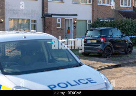 Essex, UK. 20. Januar 2019 Essex Polizei ermittelt gegen einen angeblichen Erstechen an einem Haus in Doddinghurst Brentwood Essex. Ein 20 Jahre alter Mann hat wegen des Verdachts der GBH Credit Ian Davidson/Alamy Leben Nachrichten verhaftet worden Stockfoto