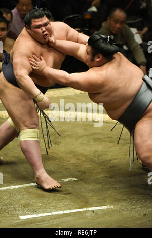 Tokio, Japan. Jan, 2019 20. Sumo Ringer Gripple fduring der Tokyo Grand Sumo Turnier in Ryogoku Kokugikan am Sonntag, 20. Januar 2019. Foto: Ramiro Agustin Vargas Tabares Credit: Ramiro Agustin Vargas Tabares/ZUMA Draht/Alamy leben Nachrichten Stockfoto