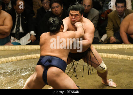 Tokio, Japan. Jan, 2019 20. Sumo Ringer Gripple fduring der Tokyo Grand Sumo Turnier in Ryogoku Kokugikan am Sonntag, 20. Januar 2019. Foto: Ramiro Agustin Vargas Tabares Credit: Ramiro Agustin Vargas Tabares/ZUMA Draht/Alamy leben Nachrichten Stockfoto