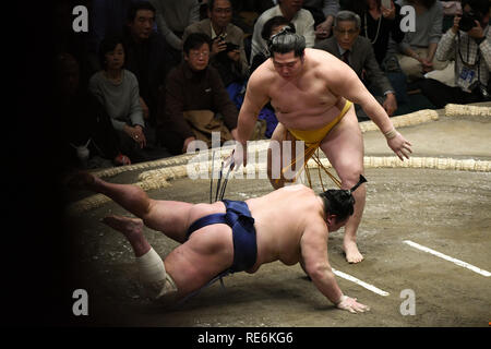 Tokio, Japan. Jan, 2019 20. Sumo Ringer Gripple fduring der Tokyo Grand Sumo Turnier in Ryogoku Kokugikan am Sonntag, 20. Januar 2019. Foto: Ramiro Agustin Vargas Tabares Credit: Ramiro Agustin Vargas Tabares/ZUMA Draht/Alamy leben Nachrichten Stockfoto