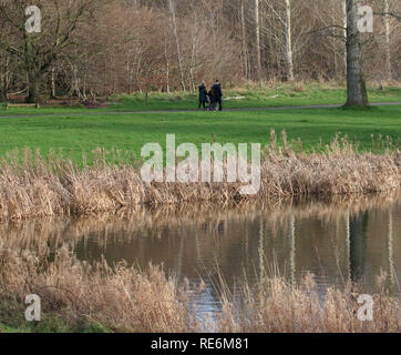 Craigavon Seen, County Armagh, Nordirland. 20. Januar 2019. UK Wetter - sonnig Zauber auf eine ruhige, aber kalten Tag in Craigavon Seen. Quelle: David Hunter/Alamy Leben Nachrichten. Stockfoto