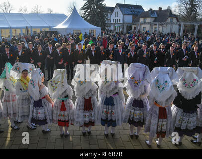 Burg, Deutschland. Jan, 2019 19. Junge Frauen und Männer in original Sorbian-Wendish festliche Kostüme nehmen teil an den traditionellen Zapust, die Jugend Karneval. Über 30 Paare nahmen an die 126 Jugend Karneval. Mit dem Karnevalsumzug in den Dörfern der Lausitz der Winter ist nach alten Brauch zurückzuführen. Foto: Patrick Pleul/dpa-Zentralbild/ZB/dpa/Alamy leben Nachrichten Stockfoto