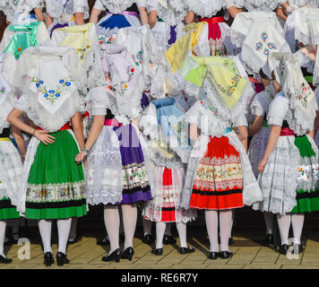 Burg, Deutschland. Jan, 2019 19. Junge Frauen und Mädchen in der ursprünglichen Sorbian-Wendish festliche Kostüme haben eine Gruppe Foto bei den traditionellen Zapust, die Jugend Karneval. Über 30 Paare nahmen an die 126 Jugend Karneval. Mit dem Karnevalsumzug in den Dörfern der Lausitz der Winter ist nach alten Brauch zurückzuführen. Foto: Patrick Pleul/dpa-Zentralbild/ZB/dpa/Alamy leben Nachrichten Stockfoto