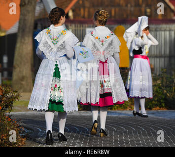 Burg, Deutschland. Jan, 2019 19. Junge Frauen in ihrem ursprünglichen Sorbian-Wendish festliche Kostüme haben ein Gruppenfoto der traditionellen Zapust, die Jugend Karneval. Über 30 Paare nahmen an die 126 Jugend Karneval. Mit dem Karnevalsumzug in den Dörfern der Lausitz der Winter ist nach alten Brauch zurückzuführen. Foto: Patrick Pleul/dpa-Zentralbild/ZB/dpa/Alamy leben Nachrichten Stockfoto