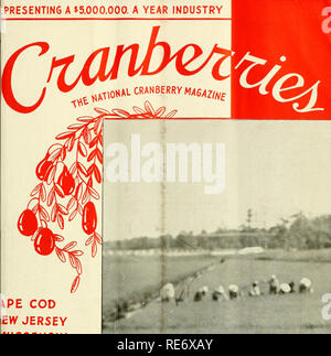 . Preiselbeeren;: die nationalen cranberry Magazin. Preiselbeeren. Präsentation einer 5.000.000 $. Ein Jahr INDUSTRIE. iPE COD EW JERSEY WISCONSIN OREGON WASHINGTON JÄT- AUF CAPE COD 08/15 Juli 1940 20 Cent. Bitte beachten Sie, dass diese Bilder sind von der gescannten Seite Bilder, die digital für die Lesbarkeit verbessert haben mögen - Färbung und Aussehen dieser Abbildungen können nicht perfekt dem Original ähneln. extrahiert. Portland, CT [etc. ]: Taylor Pub. Co [etc. ] Stockfoto