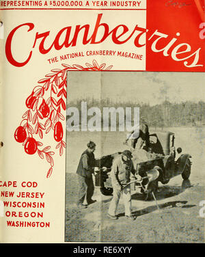 . Preiselbeeren;: die nationalen cranberry Magazin. Preiselbeeren. Das entspricht einem 5.000.000 $. Ein Jahr der Industrie. CAPE COD NEW JERSEY WISCONSIN OREGON WASHINGTON SANDINC auf dem Eis per Lkw März 1939 20 Cent. Bitte beachten Sie, dass diese Bilder sind von der gescannten Seite Bilder, die digital für die Lesbarkeit verbessert haben mögen - Färbung und Aussehen dieser Abbildungen können nicht perfekt dem Original ähneln. extrahiert. Portland, CT [etc. ]: Taylor Pub. Co [etc. ] Stockfoto