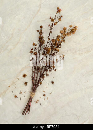 Ansicht von oben Bukett von getrockneten und verwelkte Rot-braune Gypsophila Blumen auf matt Marmor Hintergrund Stockfoto