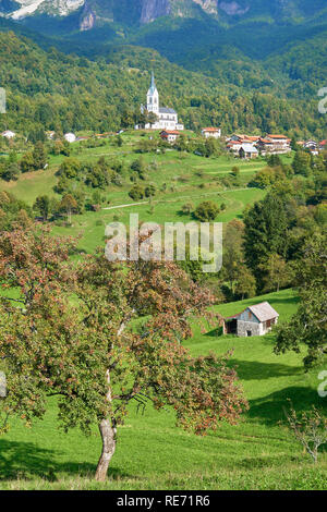 Dreznica Kirche des Heiligen Herzens, Felder und Apfelbäume, in der Nähe von Kobarid, Primorska, Slowenien Stockfoto