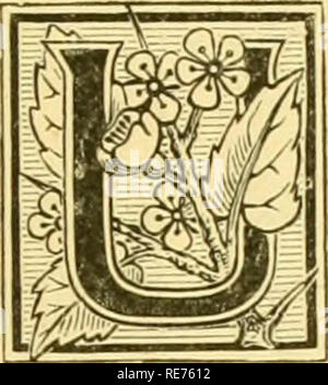 . Die Erde und ihre Bewohner... Geographie. Kapitel XIV. Die Kleinen Antillen. Unter dem allgemeinen Namen der Kleinen Antillen sind in der Regel aus alle Inseln der Karibik außer Kuba, Jamaika, San Domingo (Haiti) und Puerto Pico. Aber die Fransen der Ader - zuelan Küste, wie Trinidad und Tobago, der benachbarten sind zu eng mit dem Südamerikanischen Festland verbunden, sowohl in ihrer Position, Relief, und geologischen Beschaffenheit, aus, dass Conti-nent in eine allgemeine geographische Abhandlung getrennt werden. In fiict, der Begriff Antillen zu der Kette der isl eingeschränkt werden sollte, Stockfoto