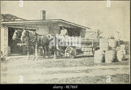 . Kosten für die Herstellung der Äpfel in fünf Grafschaften in Western New York 1910-1915. Äpfel. 36 BULLETIN 851, ES. S. ABTEILUNG DER LANDWIRTSCHAFT. der unmittelbaren Umgebung. Die Menge der Äpfel zum Trocknen oder Apfelwein variiert von Jahr zu Jahr verwendet. Etwa ein Drittel der Äpfel verwendet. Abb. 11.- das Schleppen einer Last von über 50 Buschel Mostäpfel in Kisten. Für diese Zwecke vom Boden aufgenommen werden, der Rest an Verpackung Zeit sortiert.. Bitte beachten Sie, dass diese Bilder aus gescannten Seite Bilder, die digital für die Lesbarkeit verbessert haben mögen - Färbung und Aussehen dieser Illus extrahiert werden Stockfoto