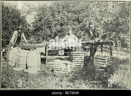 . Kosten für die Herstellung der Äpfel in fünf Grafschaften in Western New York 1910-1915. Äpfel. Kosten für die Herstellung der ÄPFEL WESTERN NEW YORK. 33 Äpfel waren in das Faß laufen, gerade wie Sie kamen aus dem Obstgarten, mit Sackleinen bedeckt, und direkt in den Speicher übernommen, und es zu umgepackt werden, wenn für den Markt bereit, entsprechend der Größe und Qualität, die der Käufer benennen könnte. Unter dem staatlichen Gesetz nun in Kraft die Standard Typen oder Klassen für Äpfel in diesem Mitgliedstaat geerntet, wenn sie in geschlossenen Verpackungen verpackt sind wie folgt: (1) New York Standard Fancy Pack; (2) New York Standard eine Note; (3) New York Standard B Grad Stockfoto