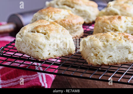 Frisch gebackene Buttermilch südlichen Kekse oder Scones von Grund auf einem Gitter abkühlen. Stockfoto