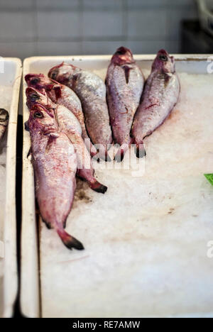 Menorca - JUNI 1: Bild von Mahon Fischmarkt, auf Juni 1,2013. Stockfoto