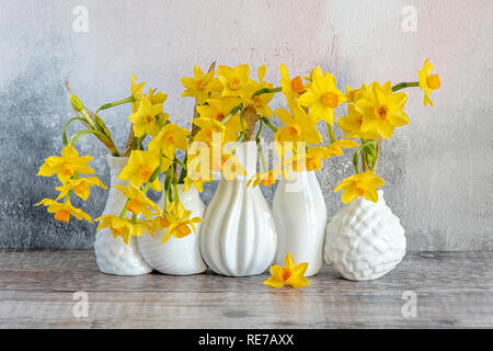 Schönen Frühling, gelbe Narzisse 'Tête-à-Tête' - Narzissen in weißem Porzellan Vasen angeordnet Stockfoto