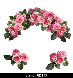 Schöne rosa und weiß rosa Blüten mit Blättern angeordnet und über einen weißen Hintergrund. Bild geschossen von der Ansicht von oben. Stockfoto