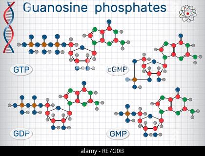 Guanosin Phosphate (guanosin Triphosphat, guanosin Diphosphat, Guanosin Monophosphat, zyklischen-Guanosinmonophosphat). Blatt Papier in einer cag Stock Vektor