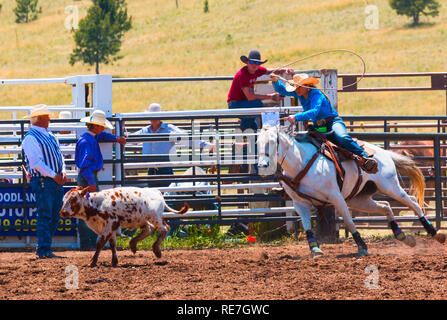 Cowboys und Cowgirls konkurrieren auf dem Dach der Welt, dem Rodeo Stockfoto