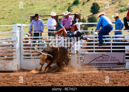 Cowboys und Cowgirls konkurrieren auf dem Dach der Welt, dem Rodeo Stockfoto