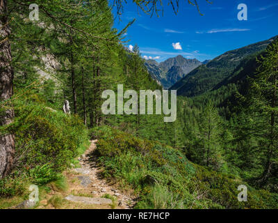 Wanderweg im Naturpark von Alta Valle Antrona, Piemont, Italien Stockfoto