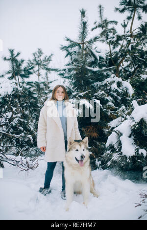 Mädchen steht neben einem Hund Alaskan Malamute für einen Spaziergang im Winter Wald gegen Kiefern Hintergrund. Stockfoto