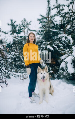 Mädchen steht neben einem Hund Alaskan Malamute für einen Spaziergang im Winter Wald gegen Kiefern Hintergrund. Stockfoto