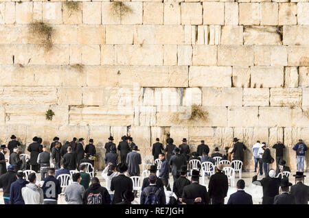 Orthodoxe Juden an der Klagemauer beten, Jerusalem Altstadt Stockfoto