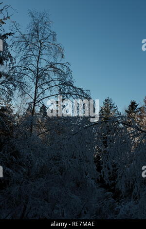 Schöne Landschaft im Winter die boreale Region Deutschlands Siegerland Stockfoto