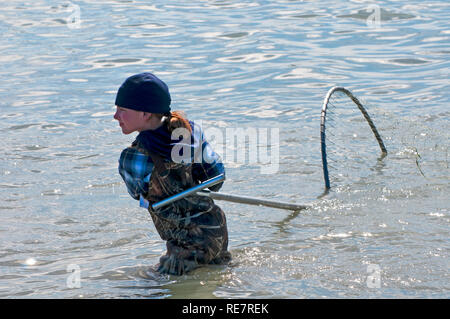 Lachsangeln in der Kenai Halbinsel, Alaska Stockfoto