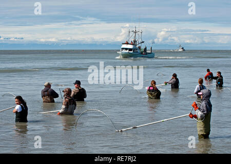 Lachsangeln in der Kenai Halbinsel, Alaska Stockfoto