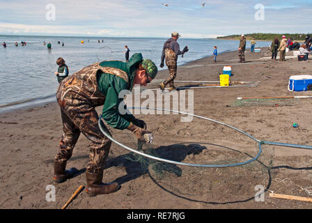 Lachsangeln in der Kenai Halbinsel, Alaska Stockfoto