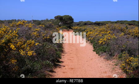 Spanien, Andalusien, Küste und Meer Stockfoto