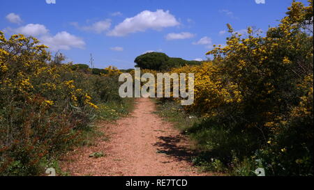 Spanien, Andalusien, Küste und Meer Stockfoto