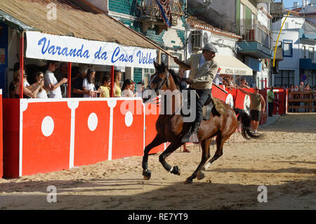 Traditionelle Largada de Toiros, Straße Stierkampf, Festas do Barrete Verde e das Salinas, Provinz Alcochete, Setubal, Portugal Stockfoto