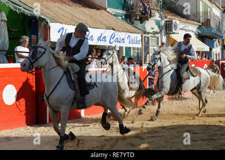 Traditionelle Largada de Toiros, Straße Stierkampf, Festas do Barrete Verde e das Salinas, Provinz Alcochete, Setubal, Portugal Stockfoto