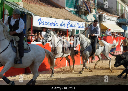 Traditionelle Largada de Toiros, Straße Stierkampf, Festas do Barrete Verde e das Salinas, Provinz Alcochete, Setubal, Portugal Stockfoto