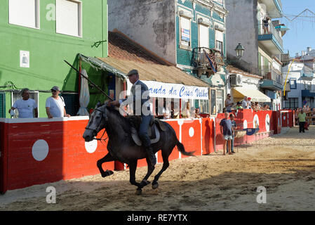 Traditionelle Largada de Toiros, Straße Stierkampf, Festas do Barrete Verde e das Salinas, Provinz Alcochete, Setubal, Portugal Stockfoto