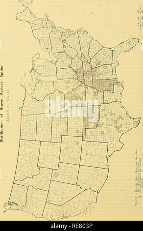 . Kooperative Wirtschaftsbeziehungen insekt Bericht. Nützlinge und Schädlinge. 248. Bitte beachten Sie, dass diese Bilder sind von der gescannten Seite Bilder, die digital für die Lesbarkeit verbessert haben mögen - Färbung und Aussehen dieser Abbildungen können nicht perfekt dem Original ähneln. extrahiert. In den Vereinigten Staaten. Tier- und Pflanzengesundheit. Pflanzenschutz und Quarantäne Programme; in den Vereinigten Staaten. Büro der Entomologie und Quarantäne; in den Vereinigten Staaten. Anlage Pest Control. Hyattsville, MD. [Etc. ] Pflanzenschutz und Quarantäne Programme und die Gesundheit von Tieren und Pflanzen Service Stockfoto