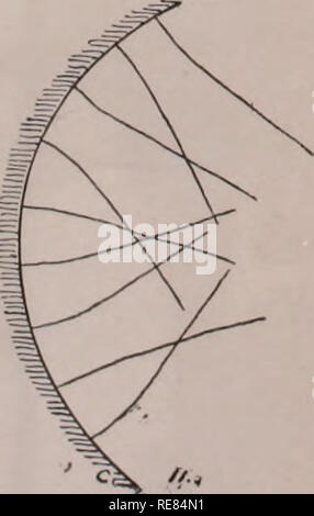 . Ein Beitrag zur Physiologie der Süßwasser-Schwämme (Spongillidae). Schwämme. . Bitte beachten Sie, dass diese Bilder sind von der gescannten Seite Bilder, die digital für die Lesbarkeit verbessert haben mögen - Färbung und Aussehen dieser Abbildungen können nicht perfekt dem Original ähneln. extrahiert. Herman van Trigt,. Leiden, Brill Stockfoto