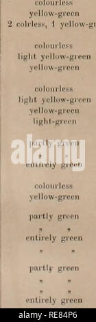 . Ein Beitrag zur Physiologie der Süßwasser-Schwämme (Spongillidae). Schwämme. 3e,. Ich^Green pnrtly Gelb - giecn liai-tly Licht schreien. - greoii 10. VII 20. VU 23. VII 24 vm 31 vin 8 IX 3 vm 17 vni24. VIII 31 VIII 3. vm 17. VIII 24. VIII "gjiSür 2. XI 24. IX 2G XI, wenn &gt;. XII 22 II 26. XI 15. XII 16. XII 22.11 2. IV 26. XI 15. XH 22. II 2. Iv. 2,=,. XI 1.".. XII 1.5. Ich 22. II 3. IV; leuchtet gelb-grüne t gelb-gi grünlich" 10. Krank 30. Krank 22. Iv. Bitte beachten Sie, dass diese Bilder aus gescannten Seite Bilder, die digital für die Lesbarkeit verbessert haben mögen - Färbung und extrahiert werden Stockfoto