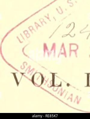 . Beiträge zur natürlichen Geschichte der Vereinigten Staaten von Amerika. Zoologie; Chelonia (Gattung); Crustacea; Cnidaria; Tiere. Die BEITRÄGE DER NATÜRLICHEN GESCHICHTE DER VEREINIGTEN STAATEN VON AMERIKA. LOUIS AGASSIZ zweite monographie. IN FÜNF TEILE: - I. ACALEPHS IM ALLGEMEINEN.-II. CTENOPIIOR ^.- III. DISCOPHORiE.-IV. IIYDROIDJS. -V. Homologien DES RADM^;^X, WTH 46 Platten. 3 1882. BOSTON: LITTLE, BEOWN UND COMPANY LONDON: TRUBNER & Amp; CO 186 0.. Bitte beachten Sie, dass diese Bilder aus gescannten Seite Bilder, die digital für die Lesbarkeit verbessert haben mögen - Färbung und Aussehen dieser extrahiert werden Stockfoto