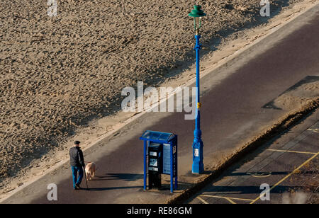 Älterer Mann nimmt seinen Hund für einen Spaziergang am Sandstrand an einem sonnigen Tag Stockfoto