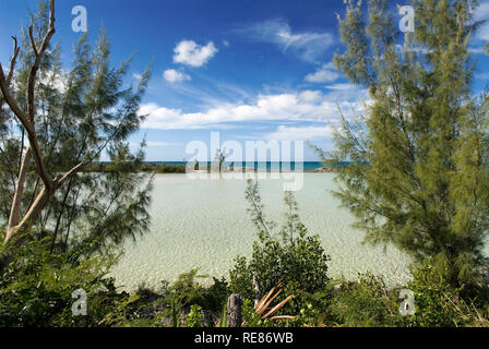 Cat Island, Bahamas. Strand von Osten (Atlantik) Bereich Pine Bay, Cat Island. Stockfoto